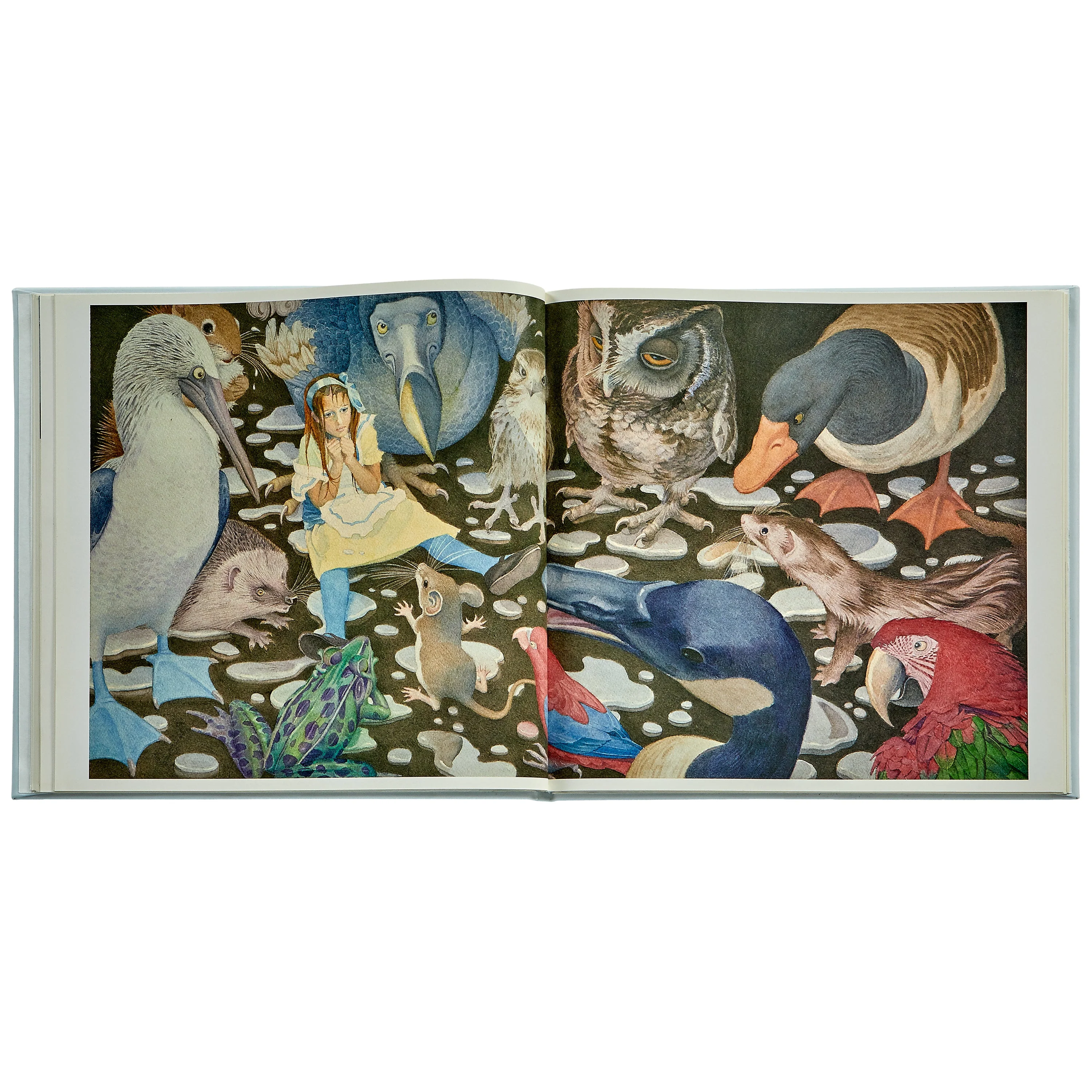 Alice's Adventures in Wonderland - Image 11