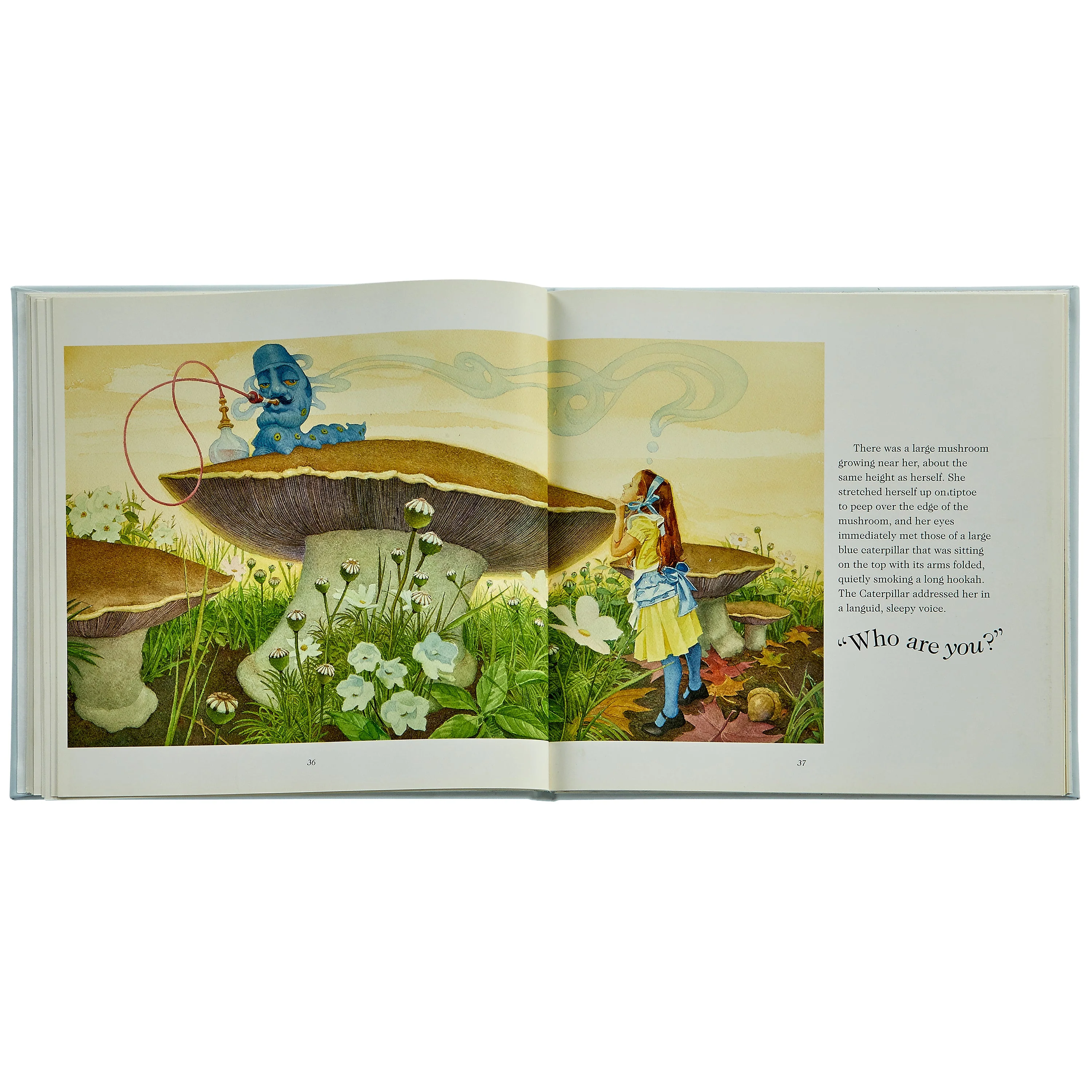 Alice's Adventures in Wonderland - Image 4