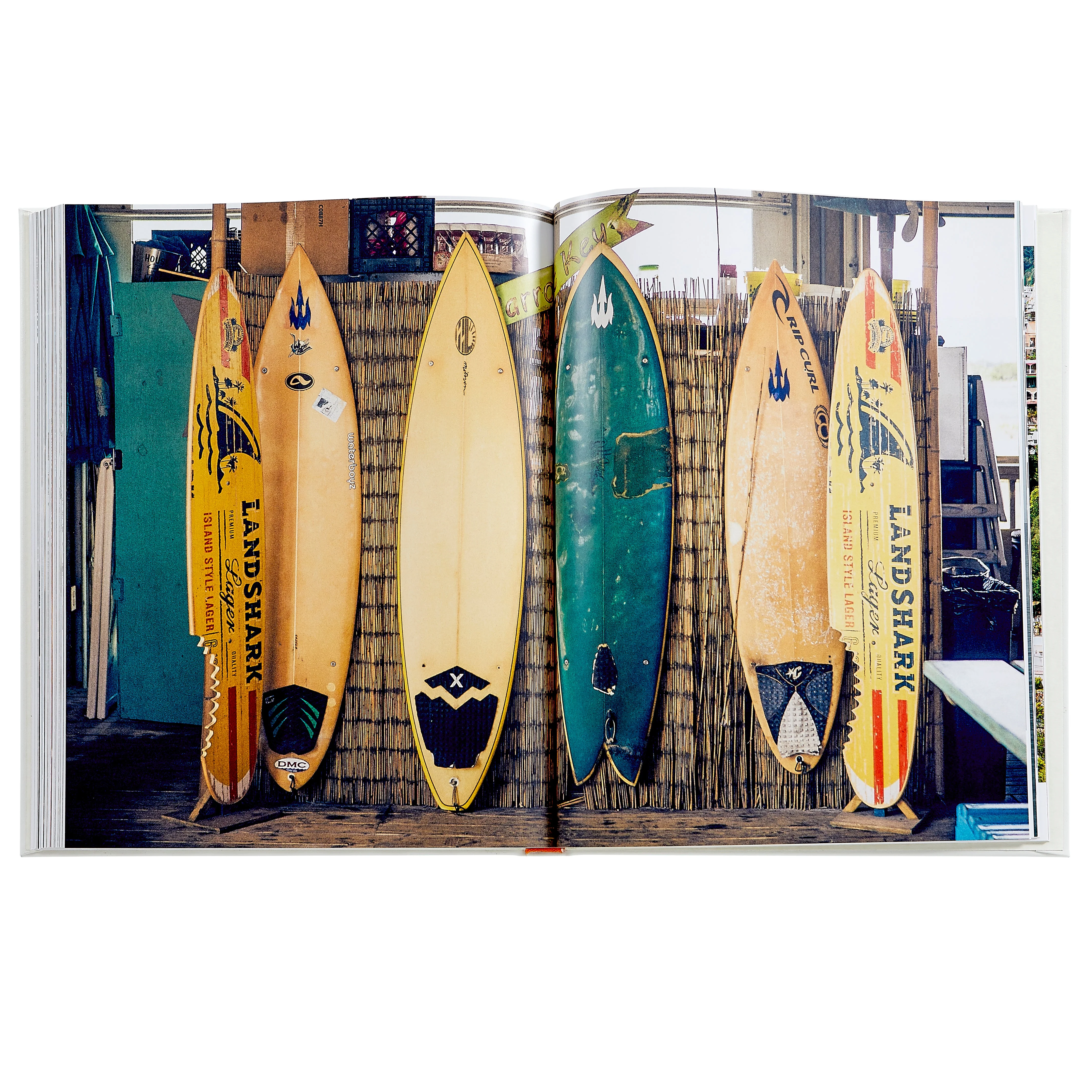 Beach Life - Image 9