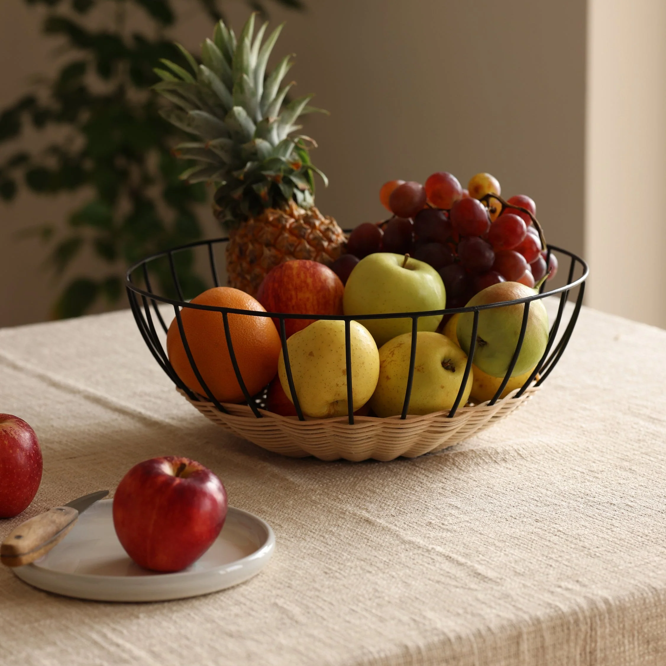 Cabo Fruit Basket - Image 6