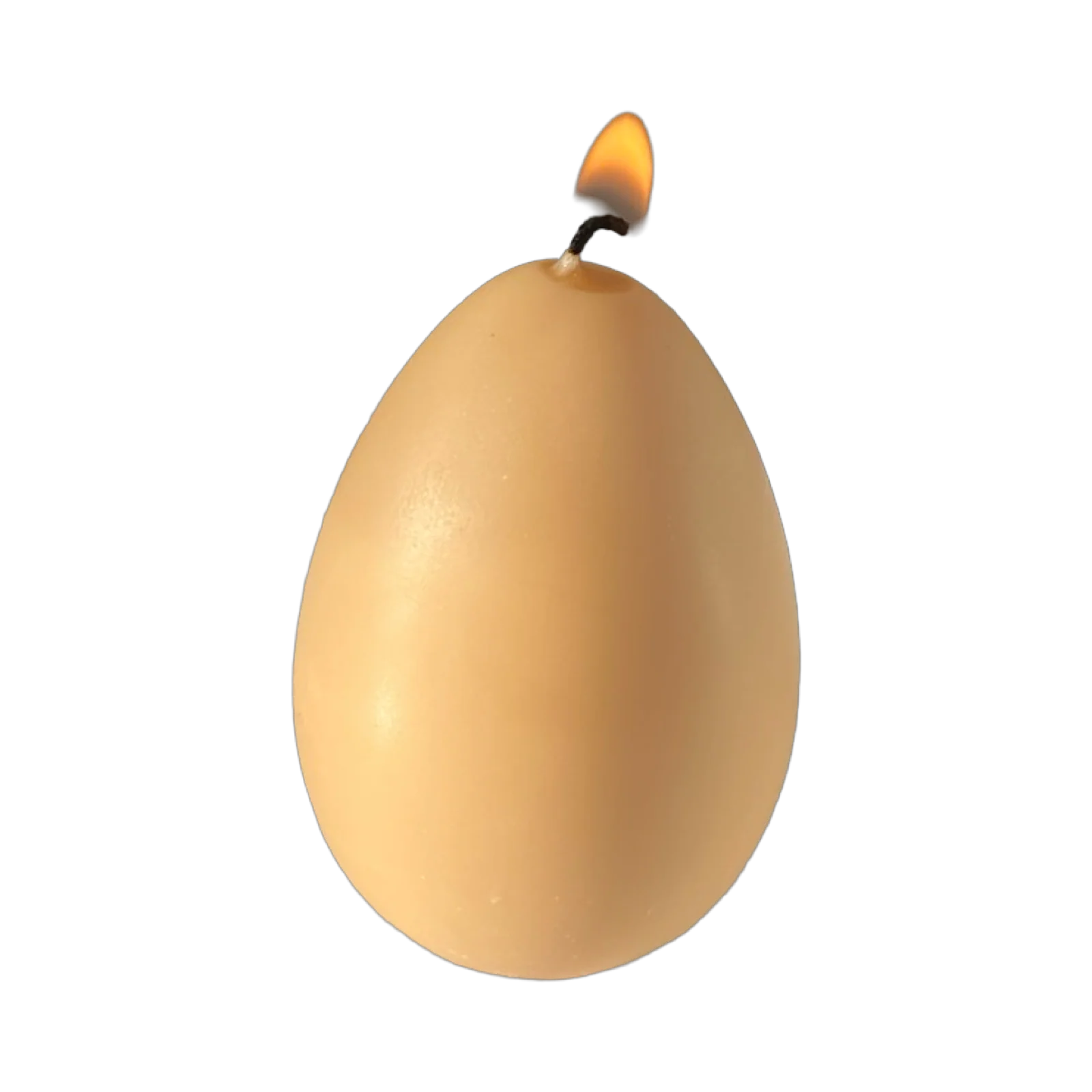 Egg Candles - 6 Pack Box - Image 13