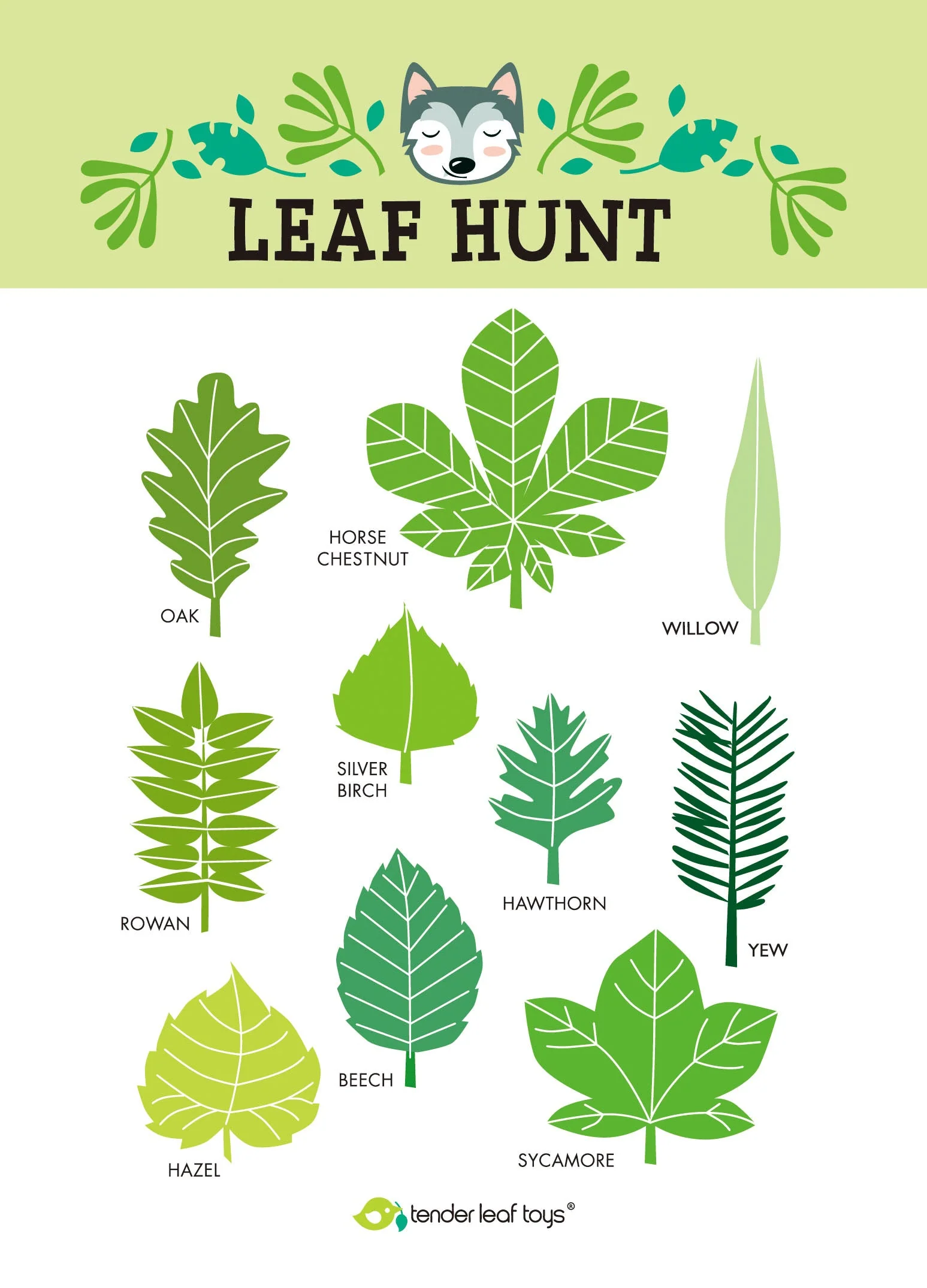 Forest Trail Kit - Image 6