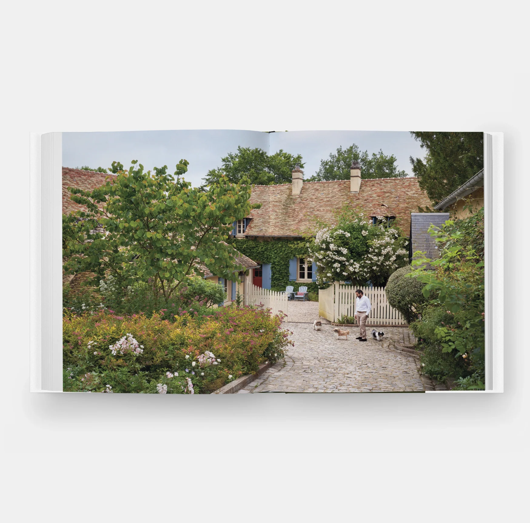 Glorious Gardens: Private Edens of the World's Leading Interior Designers - Image 7