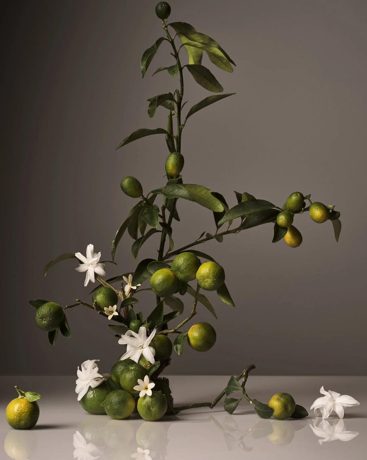 Hand Wash - Image 4