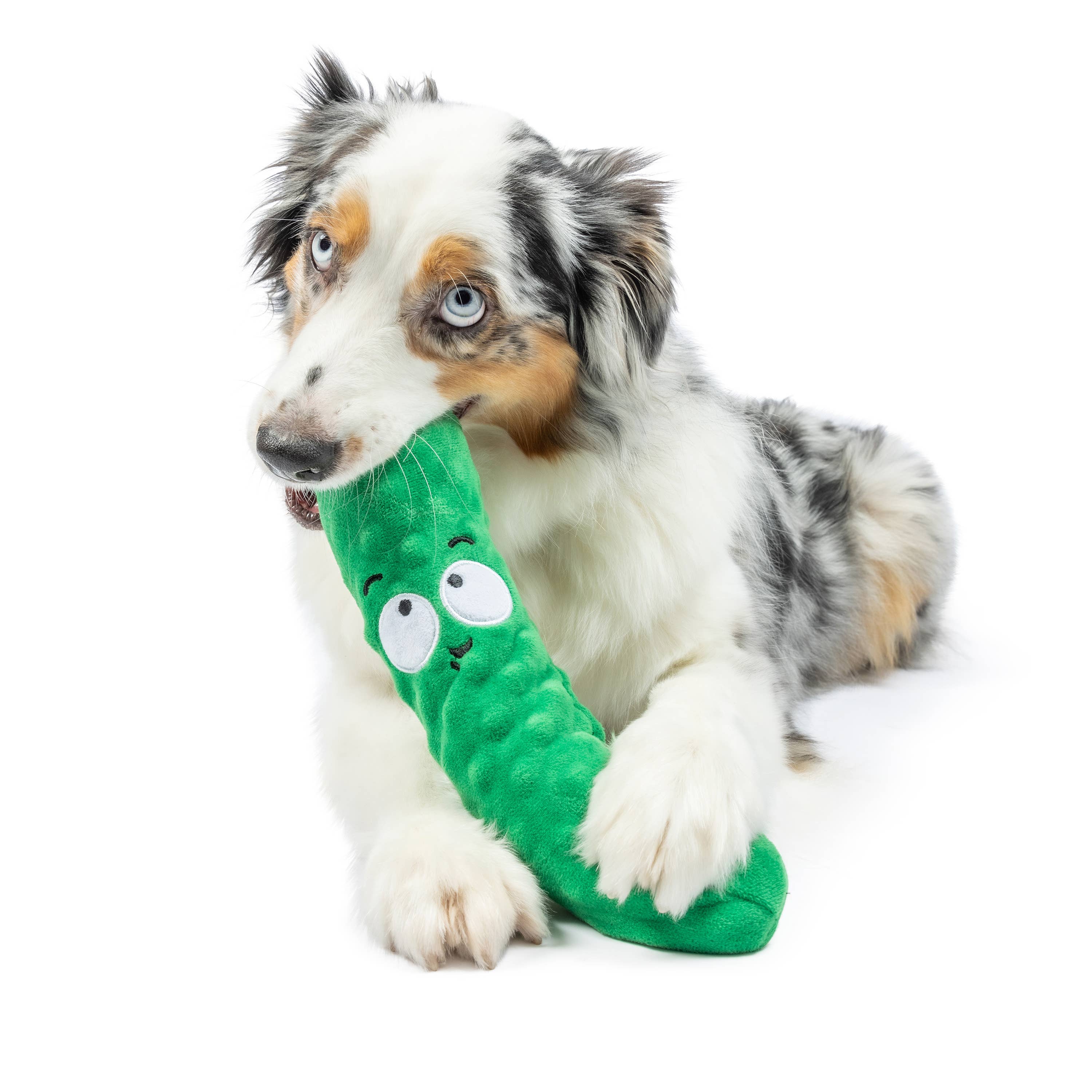 Dill Pickle Dog Toy - Image 2