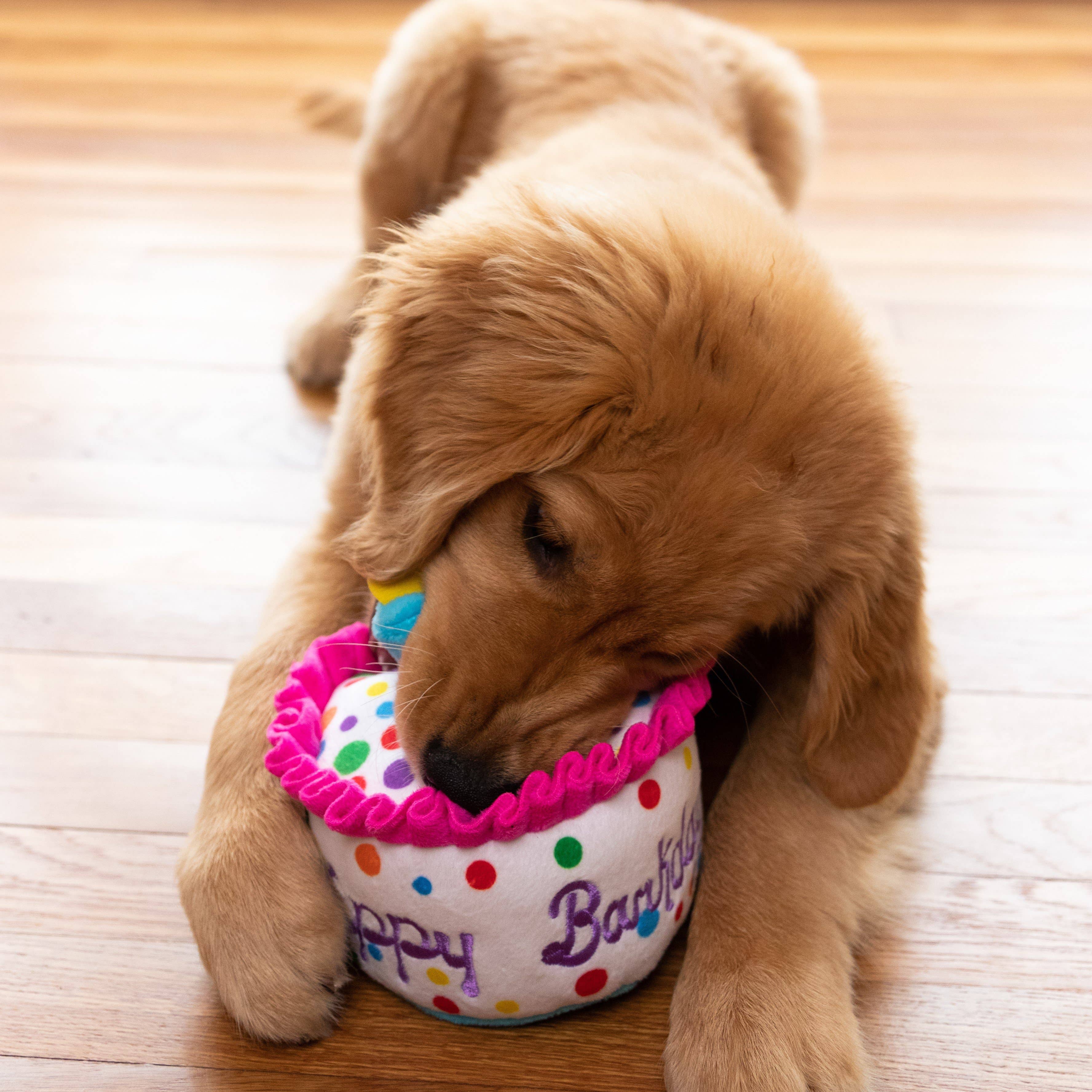Happy Barkday Cake Dog Toy - Image 7