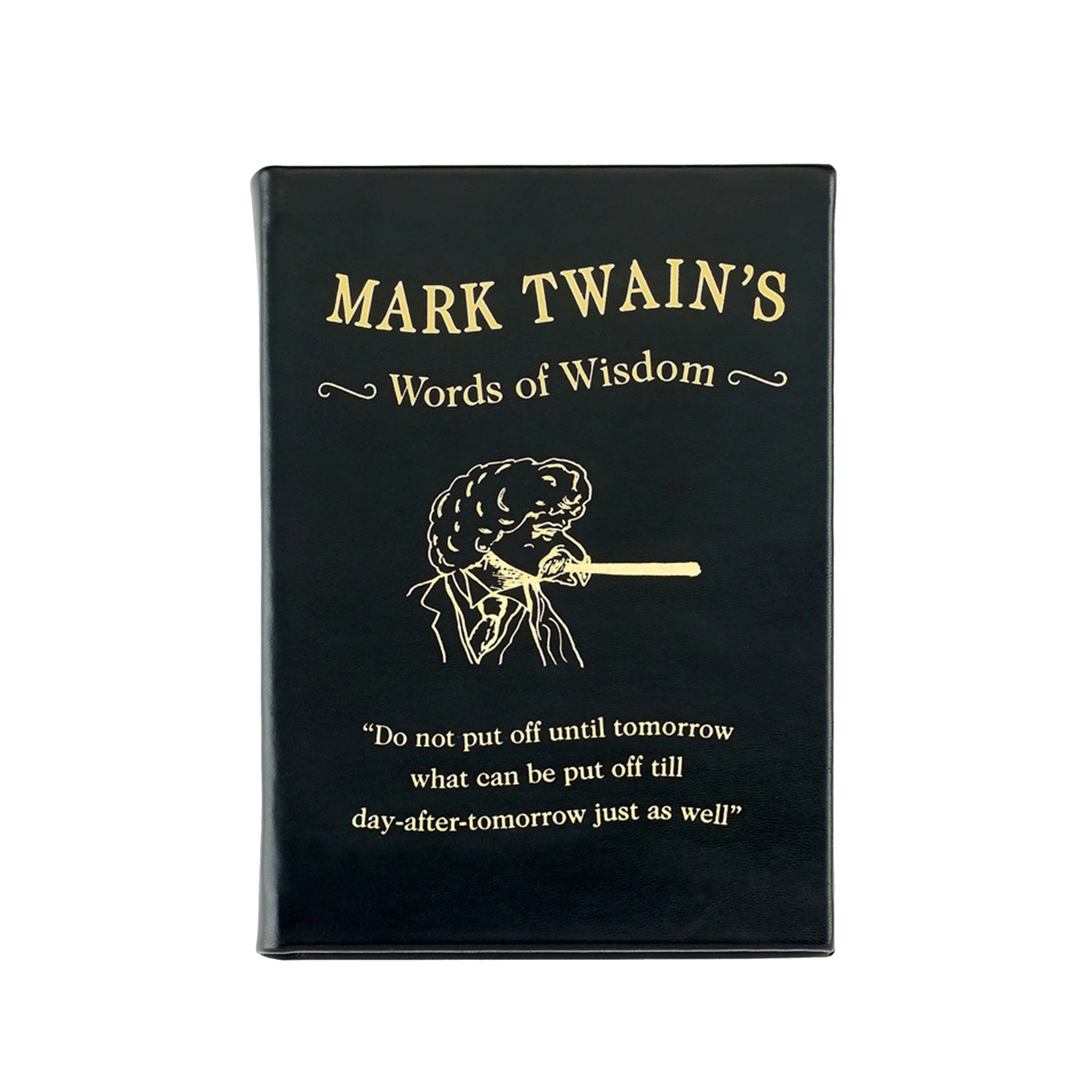 Mark Twain's Words of Wisdom - Image 2