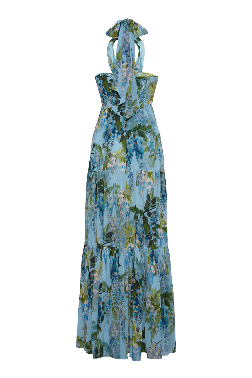 Cara Cara - Piana Maxi Dress - Image 3