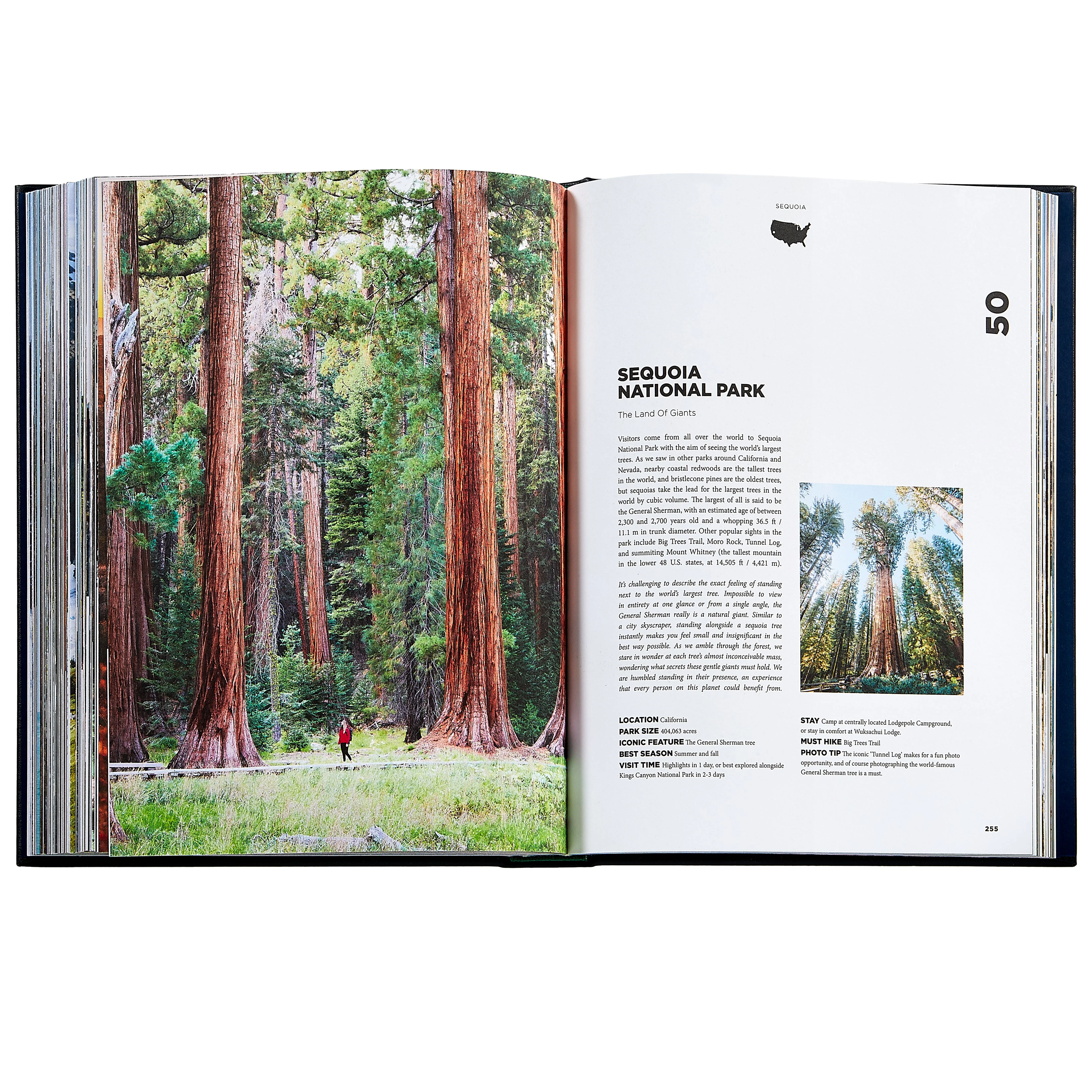 Roaming America - Image 10