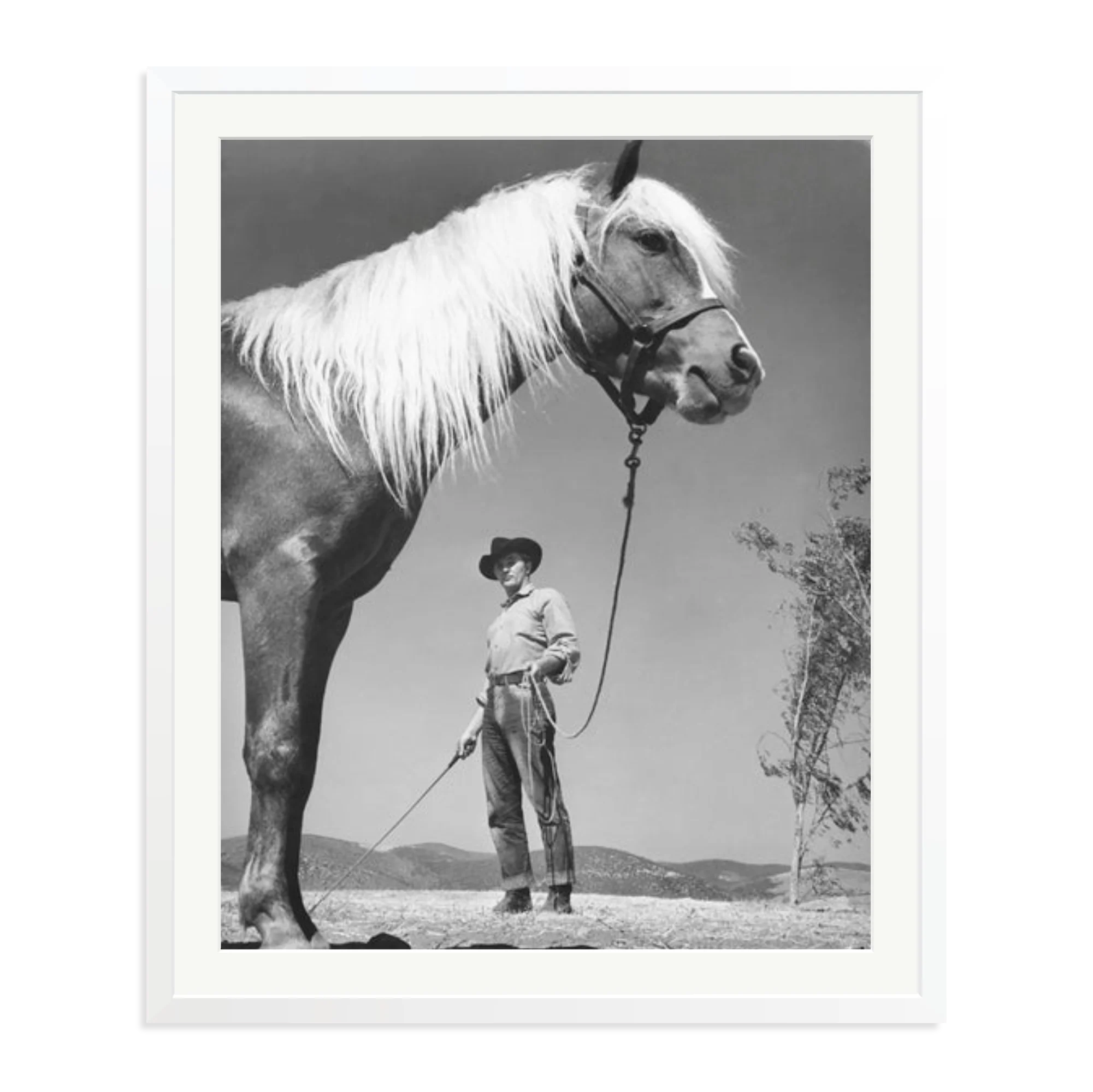 Robert Mitchum - 'The Red Pony' - Image 5