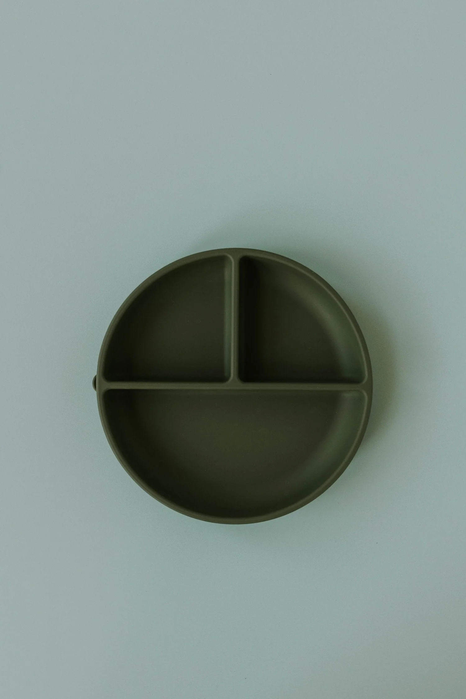 Evri - Silicone Divider Plate - Evergreen