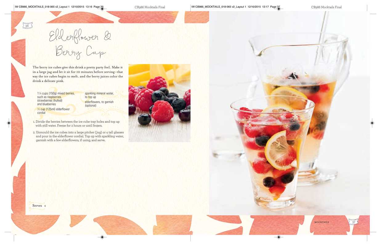 Mocktails, Cordials, Syrups, Infusions and more by Ryland Peters & Small - Image 2