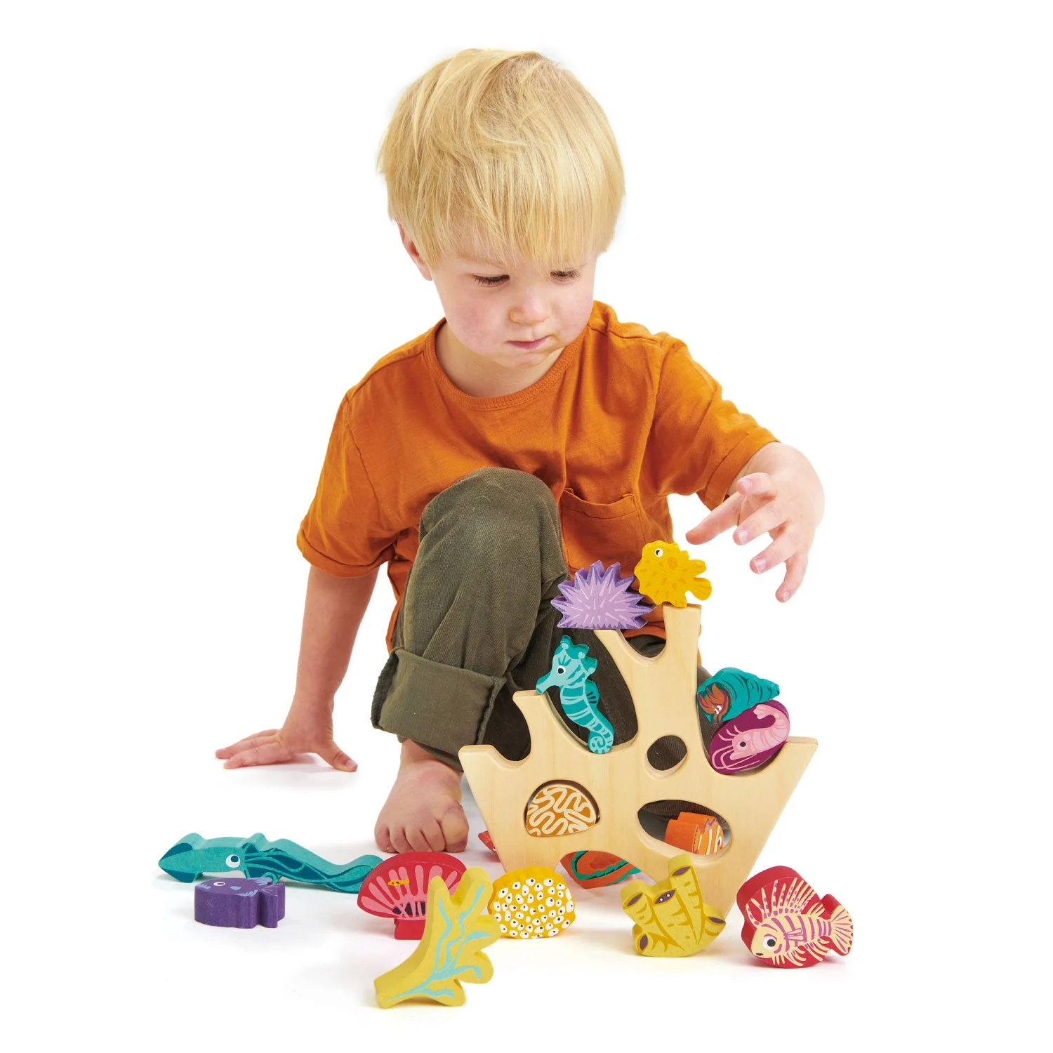 Stacking Coral Reef - Image 7