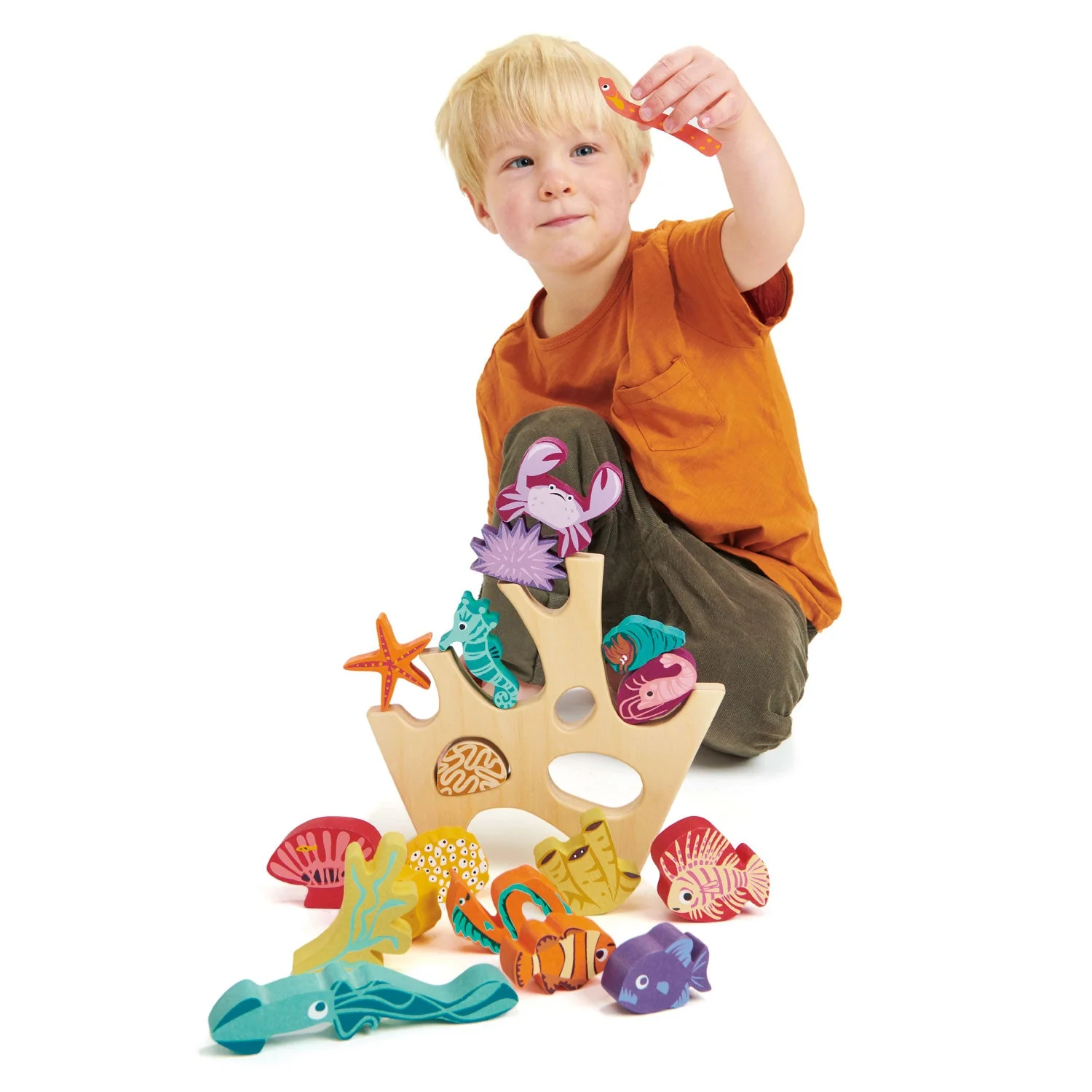 Stacking Coral Reef - Image 8
