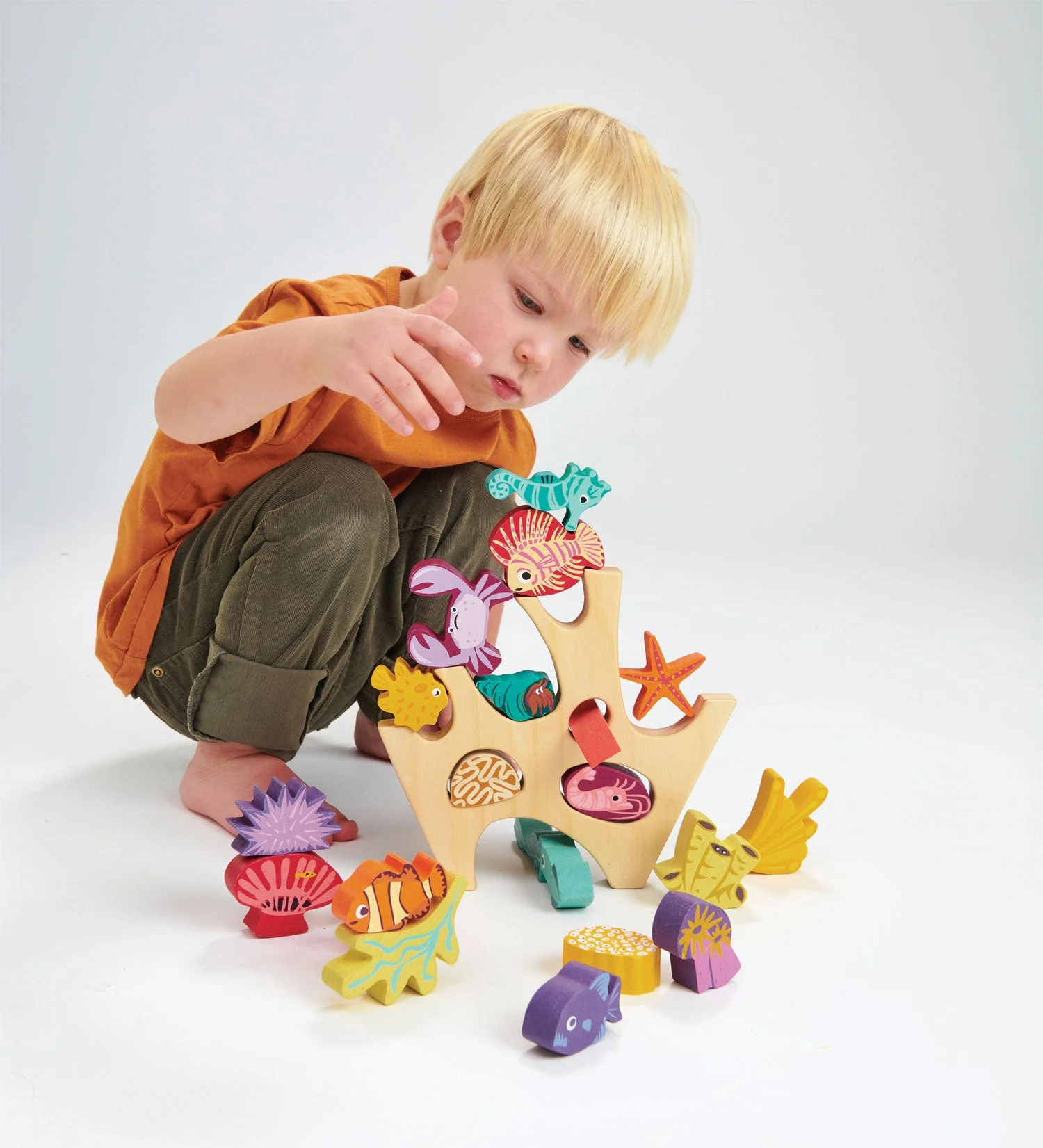 Stacking Coral Reef - Image 9