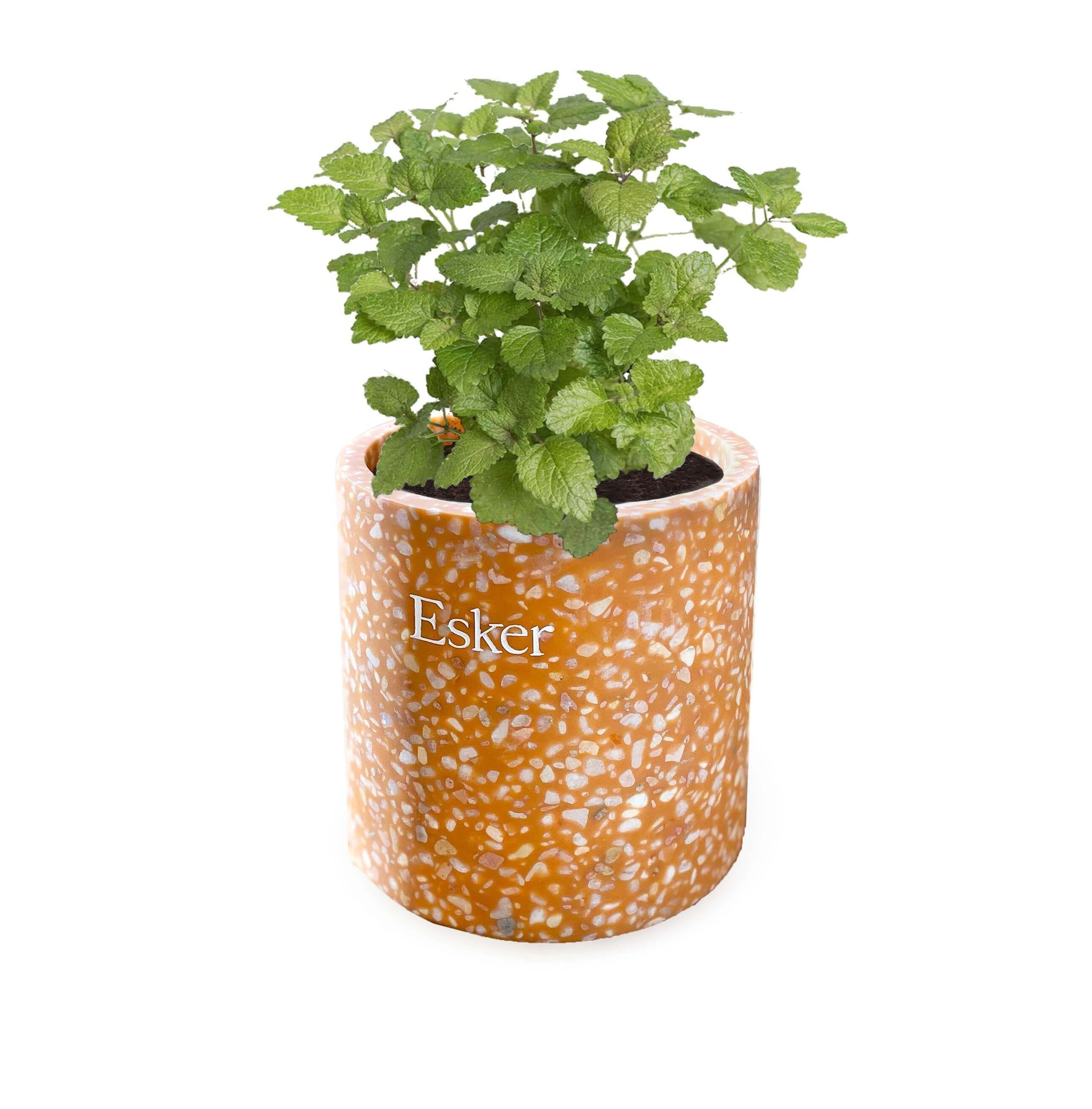 Terracotta Plantable Candle - Image 4