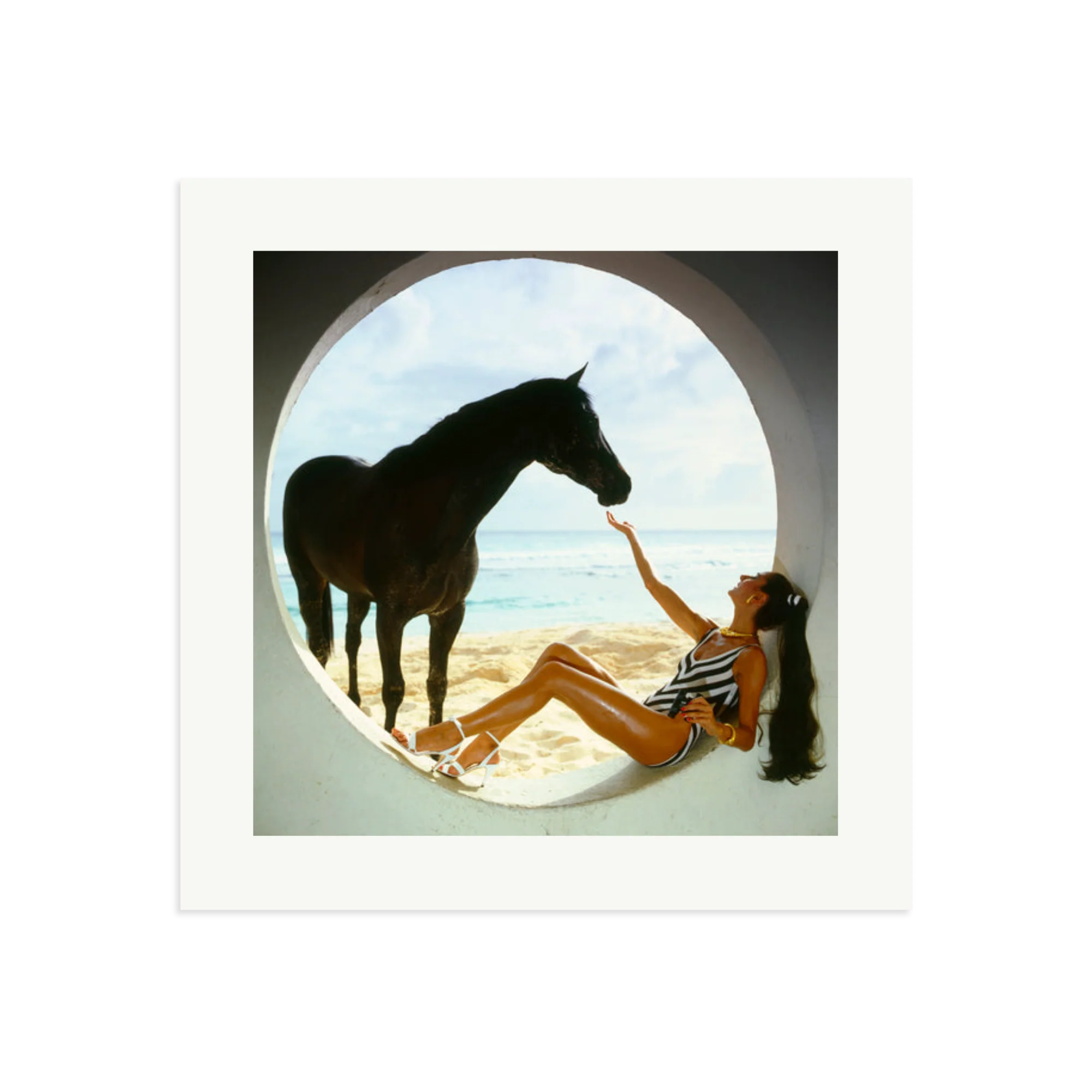 The Black Stallion - Image 10