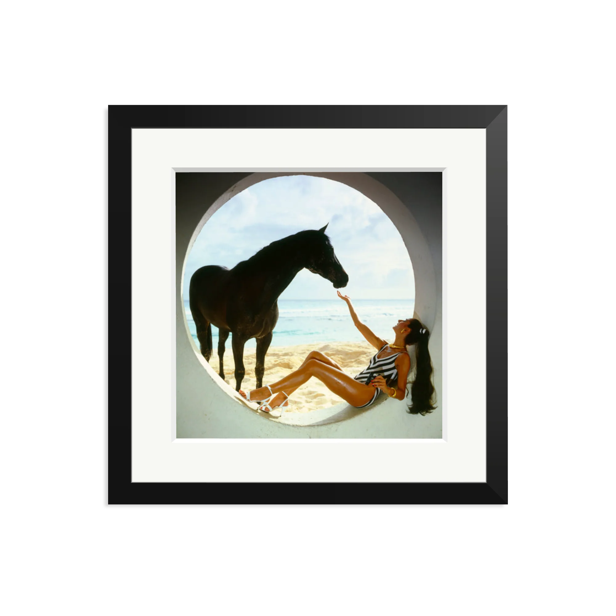 The Black Stallion - Image 5
