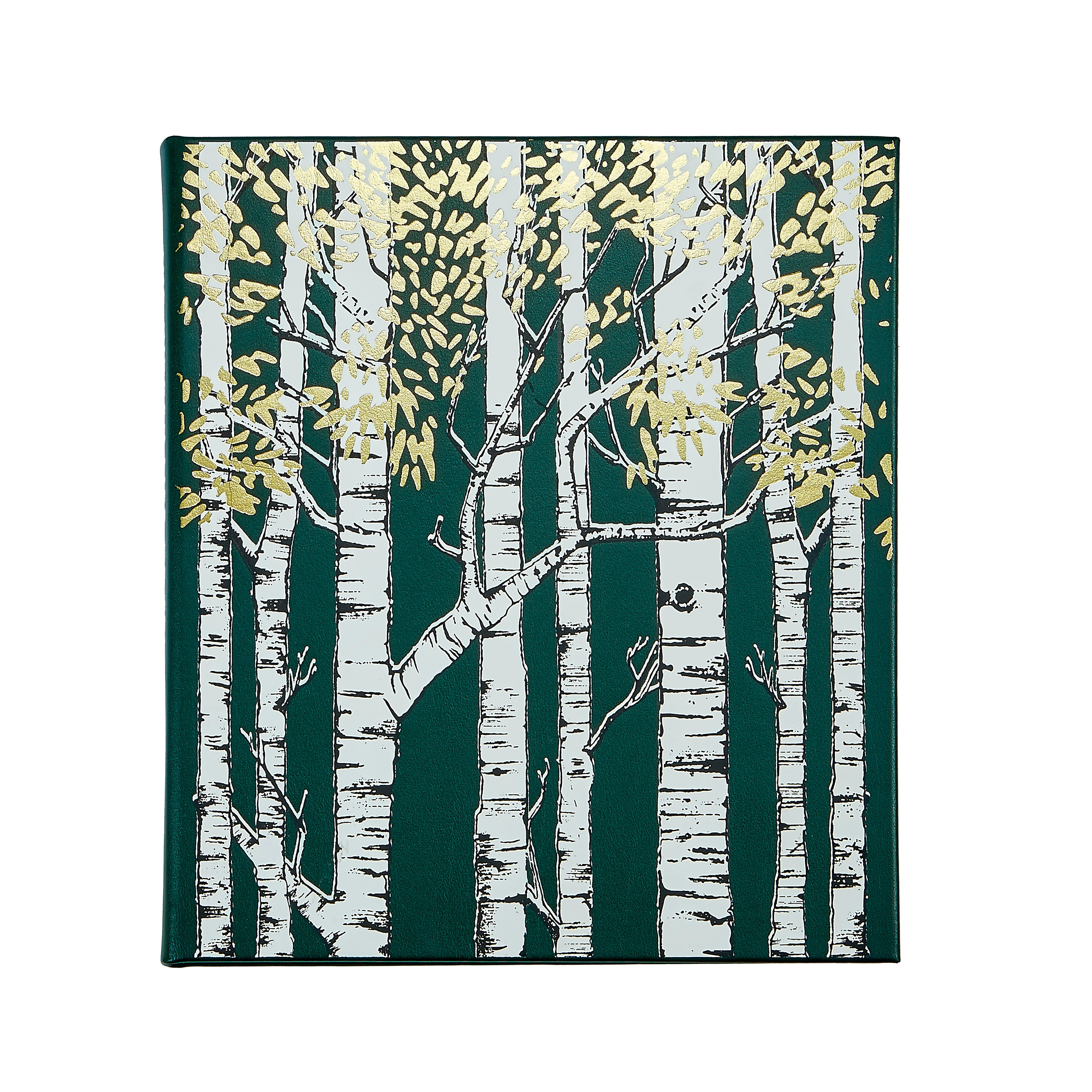The Hidden Life of Trees - Image 3