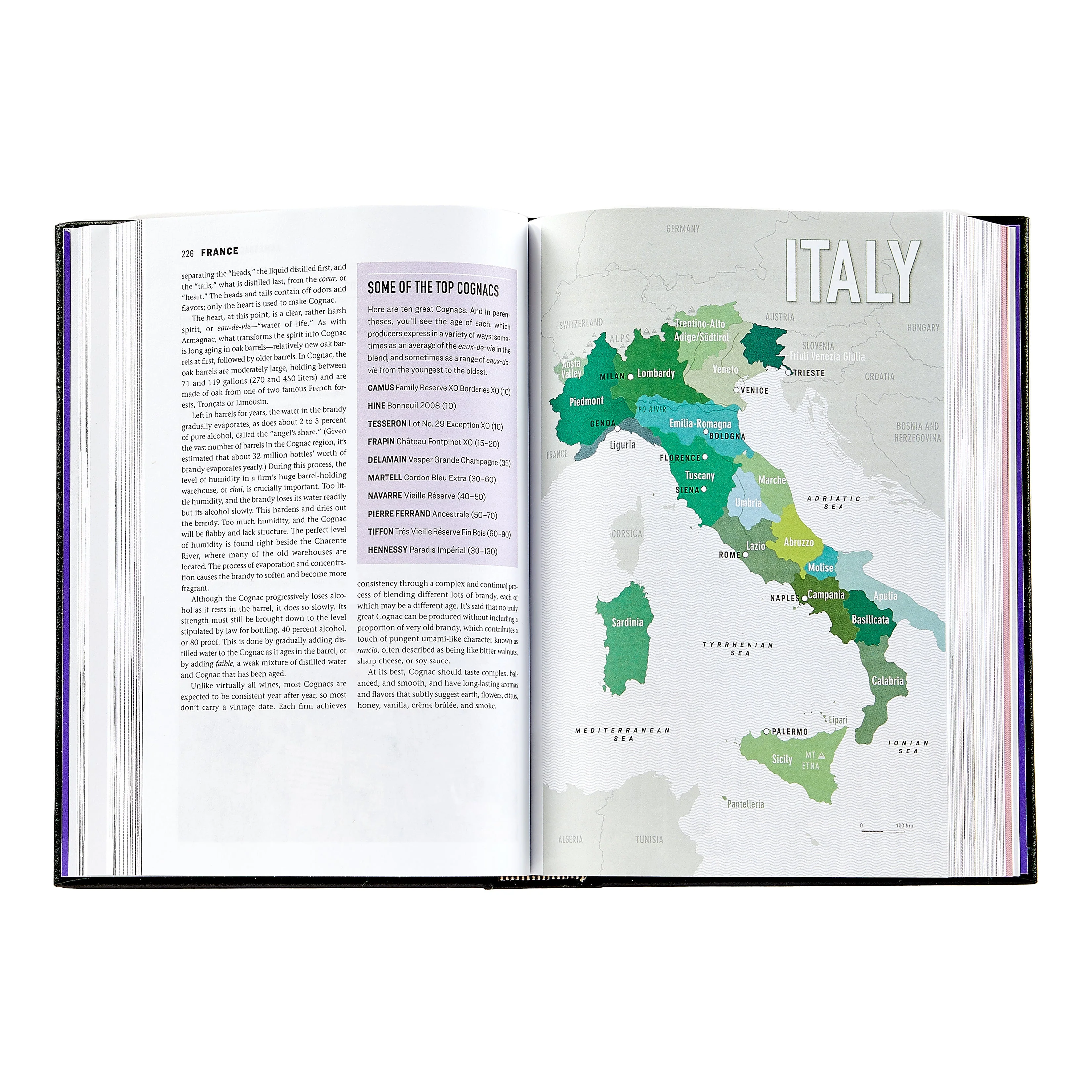 The Wine Bible - Image 5