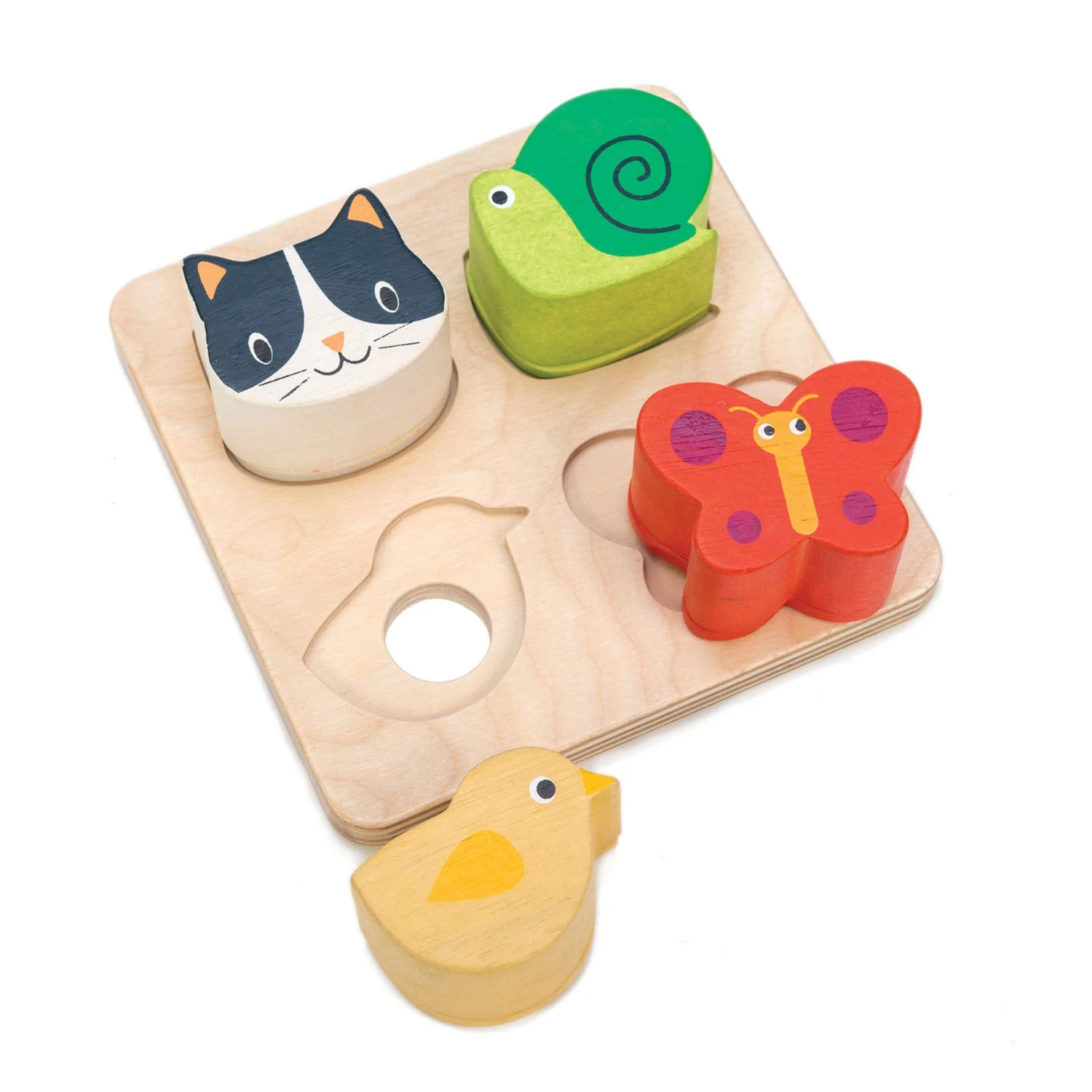 Toddler Sensory Collection - Image 6